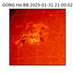 gong - 2025-01-31T21:00:02