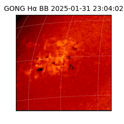 gong - 2025-01-31T23:04:02