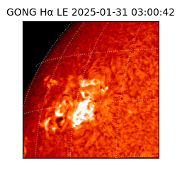 gong - 2025-01-31T03:00:42