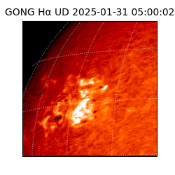 gong - 2025-01-31T05:00:02
