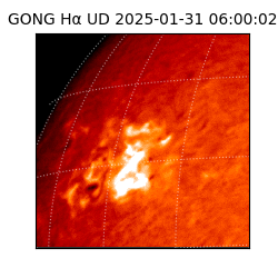 gong - 2025-01-31T06:00:02