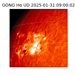 gong - 2025-01-31T09:00:02