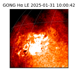 gong - 2025-01-31T10:00:42