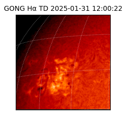 gong - 2025-01-31T12:00:22