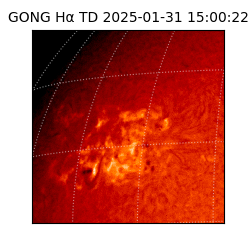 gong - 2025-01-31T15:00:22