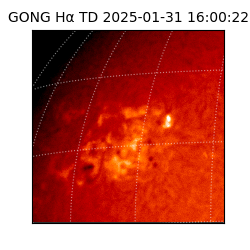 gong - 2025-01-31T16:00:22