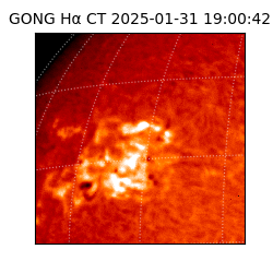 gong - 2025-01-31T19:00:42