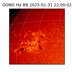 gong - 2025-01-31T22:00:02