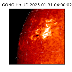 gong - 2025-01-31T04:00:02