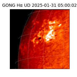 gong - 2025-01-31T05:00:02