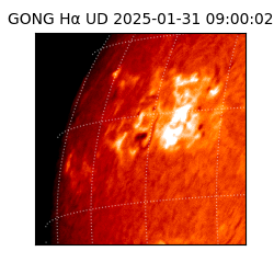 gong - 2025-01-31T09:00:02
