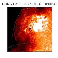 gong - 2025-01-31T10:00:42