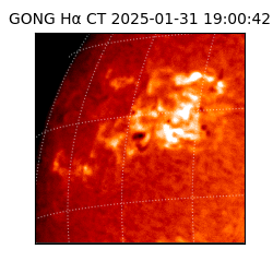 gong - 2025-01-31T19:00:42