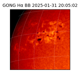 gong - 2025-01-31T20:05:02