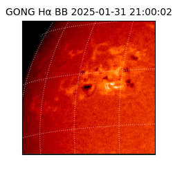 gong - 2025-01-31T21:00:02