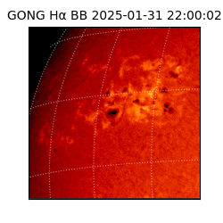 gong - 2025-01-31T22:00:02