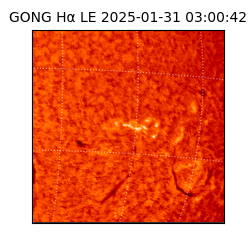 gong - 2025-01-31T03:00:42