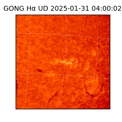 gong - 2025-01-31T04:00:02
