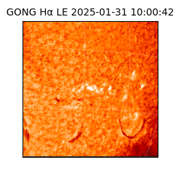 gong - 2025-01-31T10:00:42