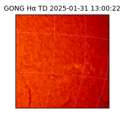 gong - 2025-01-31T13:00:22