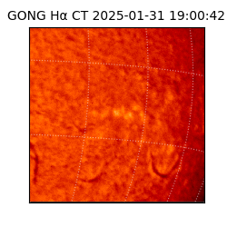 gong - 2025-01-31T19:00:42