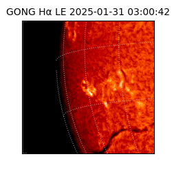 gong - 2025-01-31T03:00:42