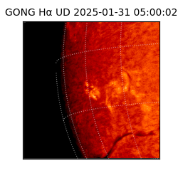 gong - 2025-01-31T05:00:02