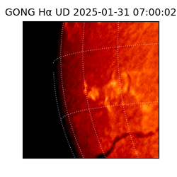 gong - 2025-01-31T07:00:02