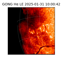 gong - 2025-01-31T10:00:42