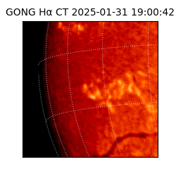 gong - 2025-01-31T19:00:42