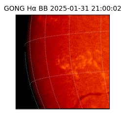 gong - 2025-01-31T21:00:02