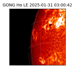 gong - 2025-01-31T03:00:42
