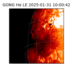 gong - 2025-01-31T10:00:42
