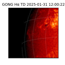 gong - 2025-01-31T12:00:22