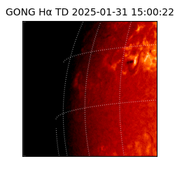 gong - 2025-01-31T15:00:22