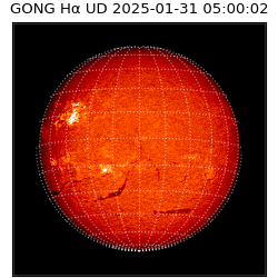 gong - 2025-01-31T05:00:02