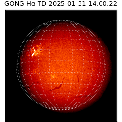 gong - 2025-01-31T14:00:22
