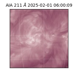 saia - 2025-02-01T06:00:09.630000