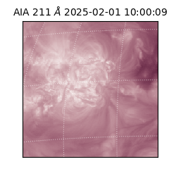 saia - 2025-02-01T10:00:09.630000