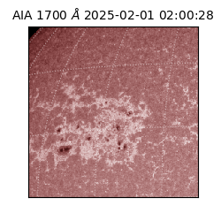 saia - 2025-02-01T02:00:28.717000