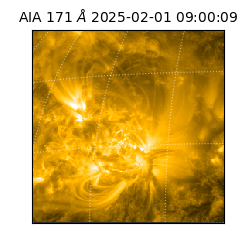 saia - 2025-02-01T09:00:09.350000
