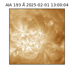 saia - 2025-02-01T13:00:04.843000