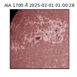 saia - 2025-02-01T01:00:28.717000
