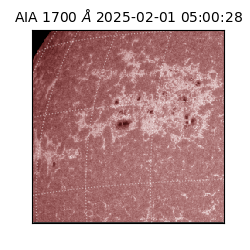 saia - 2025-02-01T05:00:28.717000