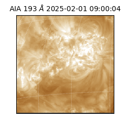 saia - 2025-02-01T09:00:04.843000