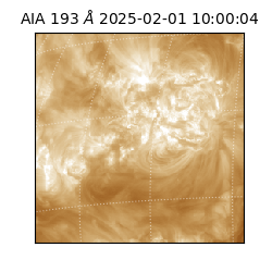 saia - 2025-02-01T10:00:04.843000