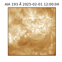 saia - 2025-02-01T12:00:04.843000