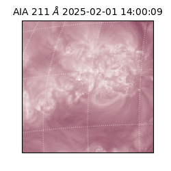 saia - 2025-02-01T14:00:09.633000