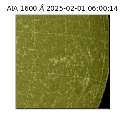 saia - 2025-02-01T06:00:14.130000