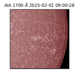 saia - 2025-02-01T09:00:28.718000